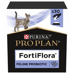 Fortiflora feline - probiotyk dla kotów.