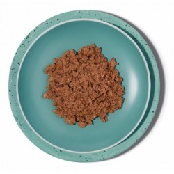 Amanova Cat Brilliant Beef & Chicken - miska z mokrą karmą z wołowiną i kurczakiem 85 g w turkusowej misce.